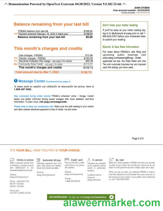 USA New York PSEG utility bill, Word and PDF template, 5 pages 2